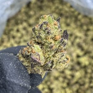Sunset Sherbet THCA Flower – Greenhouse Gold Nuggets