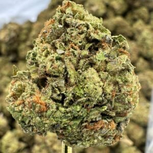 Sunset Sherbet THCA Flower – Sungrown Top Cut