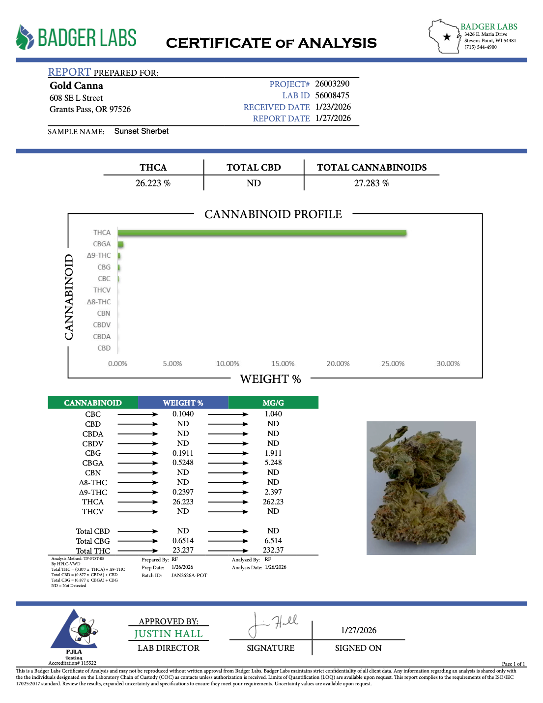 Sunset Sherbet THCA Flower – Greenhouse Gold Nuggets 2 Sunset Sherbet THCA Flower – Greenhouse Gold Nuggets - Image 2