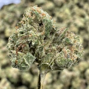 Super Boof THCA Flower – Indoor Gold Nuggets
