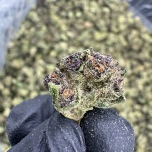 Super Boof THCA Flower – Greenhouse Gold Nuggets