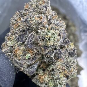 Super Runtz THCA Flower – Indoor Exotic Top Cut