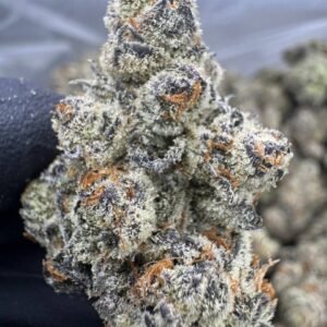 Super White Truffle THCA Flower – Indoor Exotic Top Cut