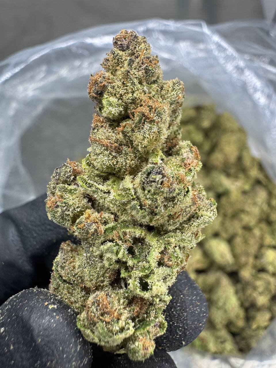 Super Boof THCA Flower – Sungrown Top Cut 1 Super Boof THCA Flower – Sungrown Top Cut