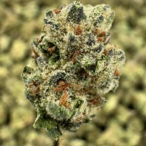 Thin Mint Cookies THCA Flower – Indoor Gold Nuggets