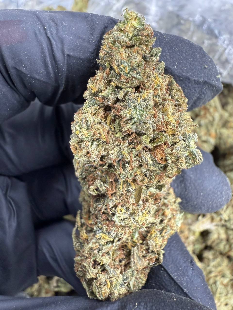 Triple OG THCA Flower – Sungrown Top Cut 1 Triple OG THCA Flower – Sungrown Top Cut