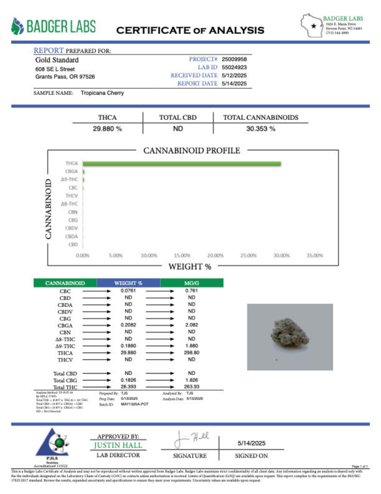 Tropicana Cherry THCA Flower – Greenhouse Gold Nuggets 2 Tropicana Cherry THCA Flower – Greenhouse Gold Nuggets - Image 2