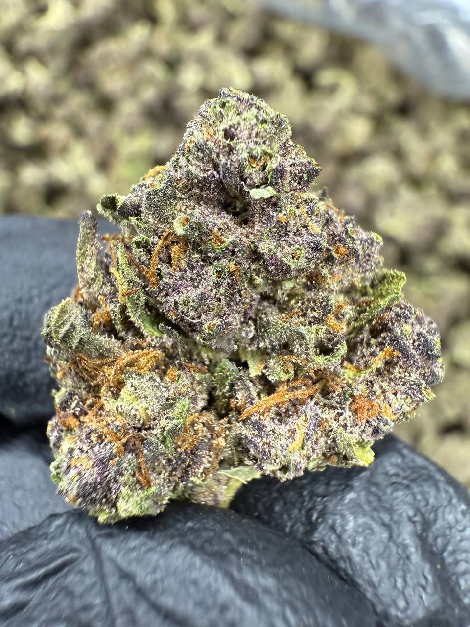 Tropicana Cherry THCA Flower – Gold Nuggets 1 Tropicana Cherry THCA Flower – Gold Nuggets