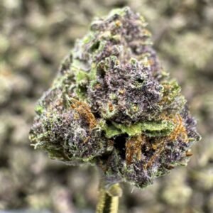 Tropicana Cherry THCA Flower – Greenhouse Gold Nuggets