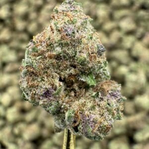 Tropicana Banana THCA Flower – Indoor Gold Nuggets