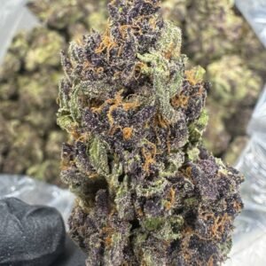 Tropicana Cherry THCA Flower – Sungrown Top Cut