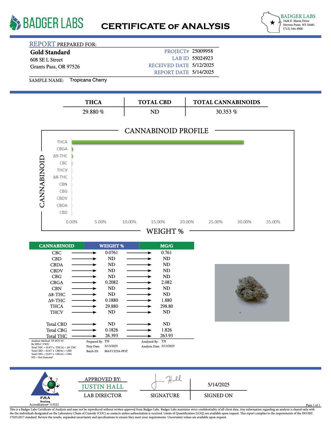 Tropicana Cherry THCA Flower – Sungrown Top Cut 2 Tropicana Cherry THCA Flower – Sungrown Top Cut - Image 2