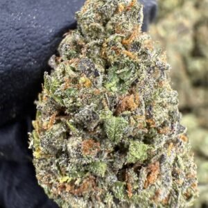 Venom OG THCA Flower – Greenhouse Top Cut
