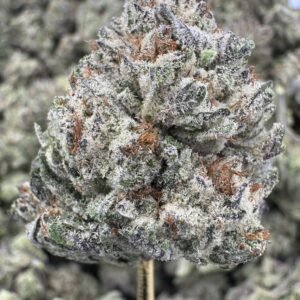 White Durban THCA Flower – Indoor Top Cut