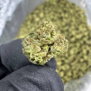 White Gelato THCA Flower – Greenhouse Gold Nuggets