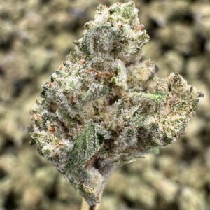 White Widow THCA Flower – Indoor Gold Nuggets