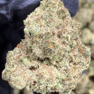 White Truffle THCA Flower – Greenhouse Top Cut
