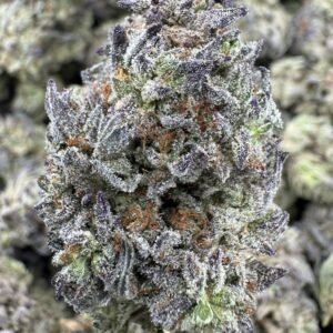 White Widow THCA Flower – Indoor Top Cut